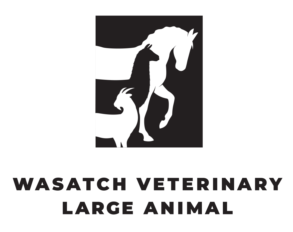 Wasatch Veterinary Logo